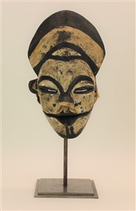 Ohio Wesleyan's Wunderkammer